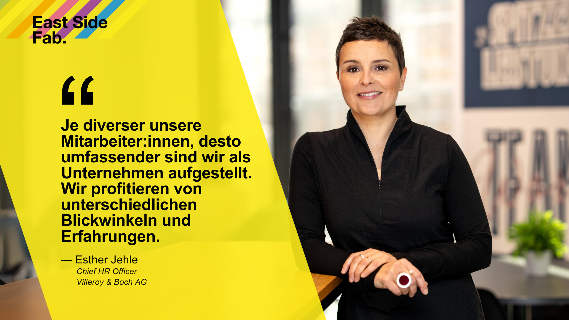 Villeroy & Boch Diversity